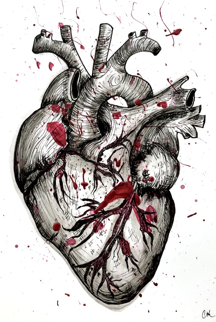 Heart
