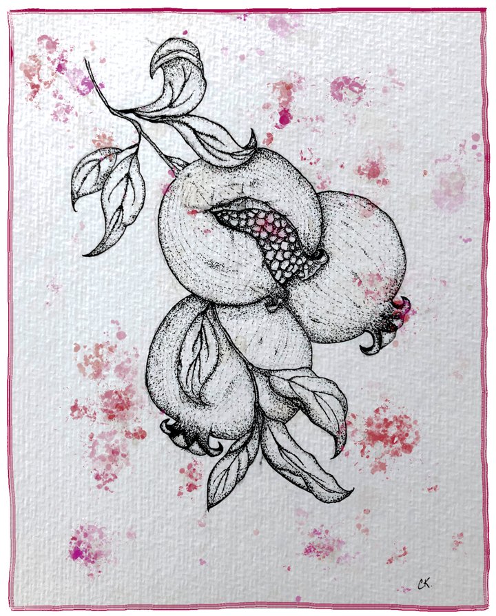 Pomegranate