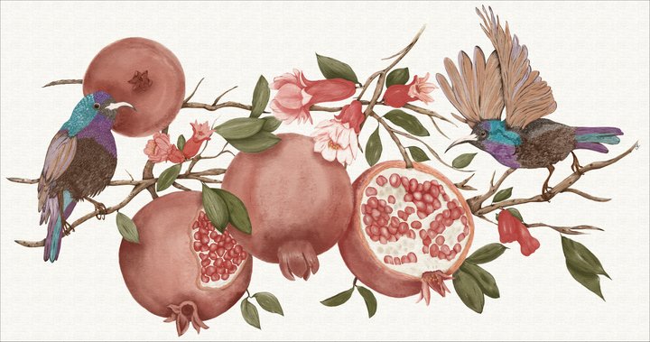 Seeds